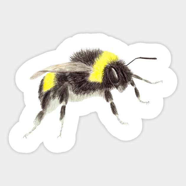 Bumblebee Sticker by lindaursin